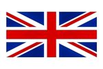 Flag 1