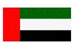 Flag 4